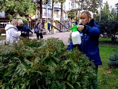 В столице Туапсинского района готовят зеленые насаждения к наступлению весны