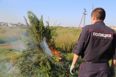 В Туапсинском районе проводят оперативно-профилактическую операцию «Мак-2017»