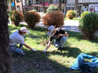 В дни летних каникул в Туапсинском районе планируют трудоустроить около 460 подростков