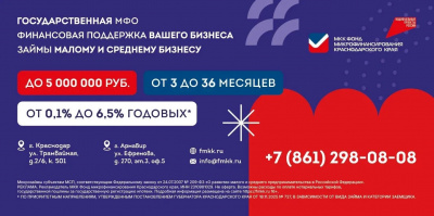 Государственная мфо финансовая поддержка вашего бизнеса займы малому и среднему бизнесу