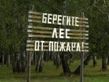 Ужесточилось наказание за нарушение правил пожарной безопасности в лесу