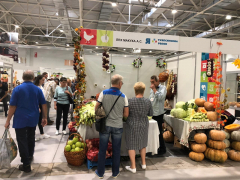 Фермеры и предприятия Туапсинского района представляют свою продукцию на IX агропромышленной выставке в Краснодаре «Кубанская ярмарка-2019»