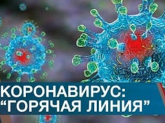 Роспотребнадзор Краснодарского края открыл «горячую линию» по коронавирусу