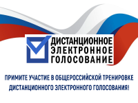 Общероссийская тренировка по участию в дистанционном электронном голосовании