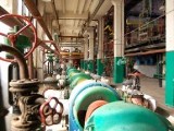 Небугское поселение принимает гостей и готовится к зиме