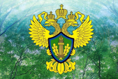 Глава Росприроднадзора в Туапсинском районе расскажет об учрежденной Международной детско-юношеской премии «Экология – дело каждого»