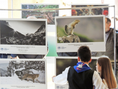 В Туапсе открылась выставка фотографий победителей конкурса Русского географического общества «Самая красивая страна»