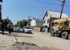В Туапсинском районе работают бригады ветеринаров Кубани и муниципалитета