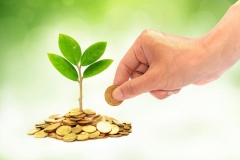 Информация для плательщиков платы за негативное воздействие на окружающую среду
