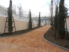 В городском парке культуры и отдыха Туапсе высаживают новые деревья