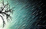 Экстренное предупреждение