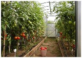 Туапсинские земледельцы учились успешно хозяйствовать