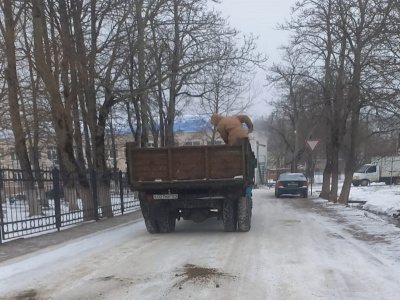 В поселениях Туапсинского района продолжают расчищать дороги от снега
