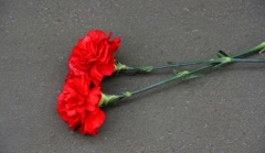 В селе Цыпке Туапсинского района открыли мемориальную доску заслуженному учителю России Галине Бостан
