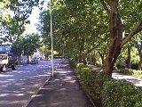 Памятники природы Туапсинского района прошли экологическое обследование