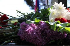 В Туапсе установили бюст маршала Советского Союза Георгия Жукова