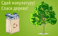 Итоги Всероссийского эко-марафона ПЕРЕРАБОТКА «Сдай макулатуру – спаси дерево»