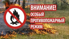 В Туапсинском районе введен особый противопожарный режим и запрет на посещение леса