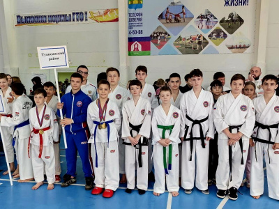 Туапсинские спортсмены отлично выступили на Чемпионате и Первенстве Краснодарского края по тхэквондо ГТФ 