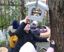 В Туапсинском районе проходит экологическая акция «Покормите птиц зимой!»