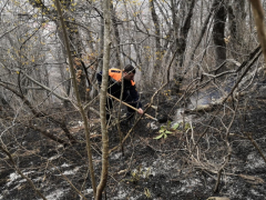 Пожар в Туапсе ликвидирован