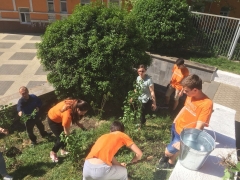 В Туапсе волонтеры провели акцию «Сирень Победы»