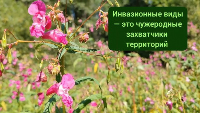 К сведению  собственников, арендаторов, землепользователей, землевладельцев земельных участков Туапсинского муниципального округа