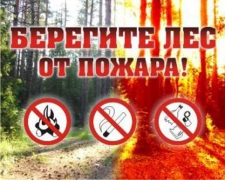 Владимир Лыбанев поставил задачу во всех поселениях Туапсинского района ответственно подготовиться к пожароопасному сезону