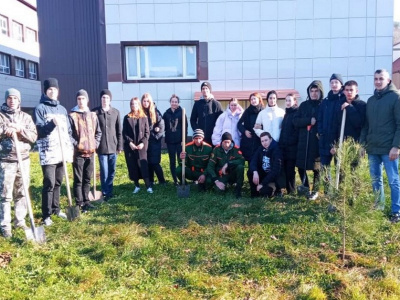 В Туапсинском районе проходит акция «Сохраним лес»