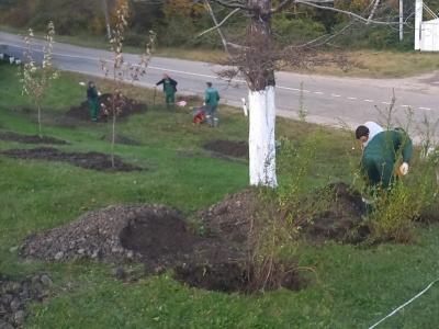 В селе Георгиевском высадили более 160 деревьев и кустарников