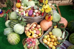 Туапсинские фермеры представляют свою продукцию на агропромышленной выставке в Краснодаре «Кубанская ярмарка»