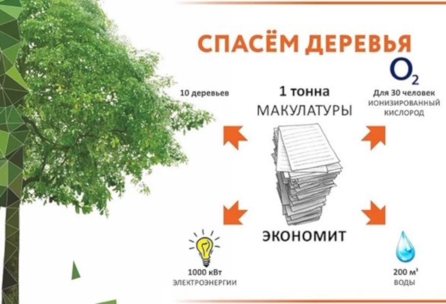 Макулатура – это ценный вторичный ресурс