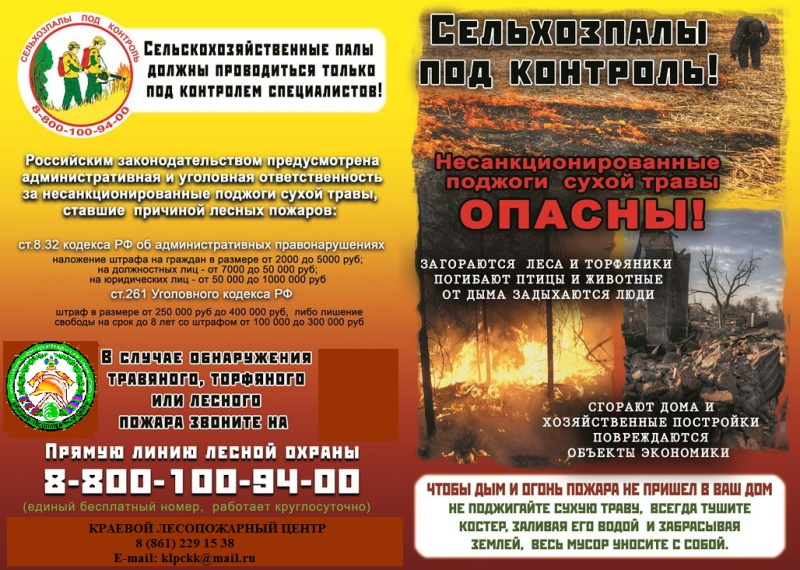 еще внытрь после текста.jpg
